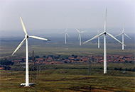 新聞動(dòng)態(tài)